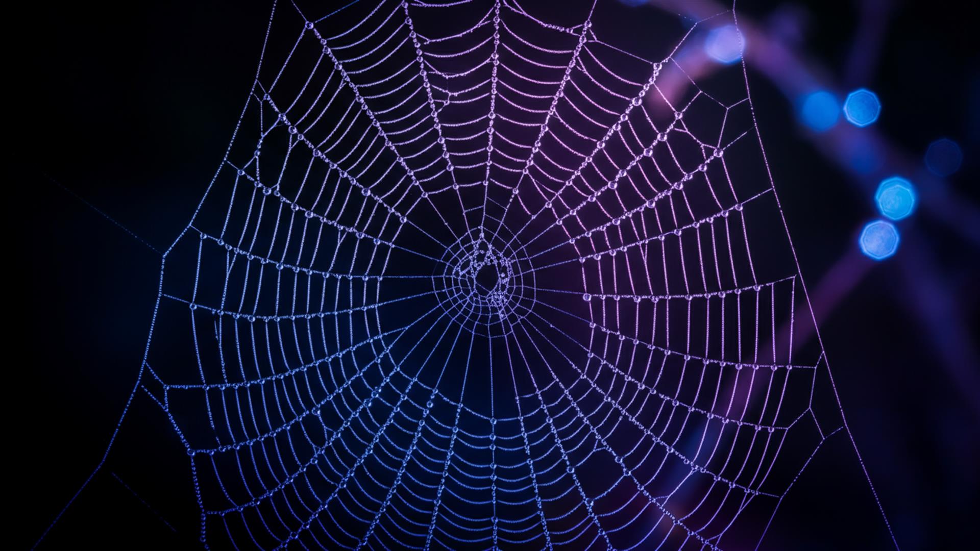 The Fundraising Proximity Effect: Why 83% of Deals Happen Within 6 Degrees