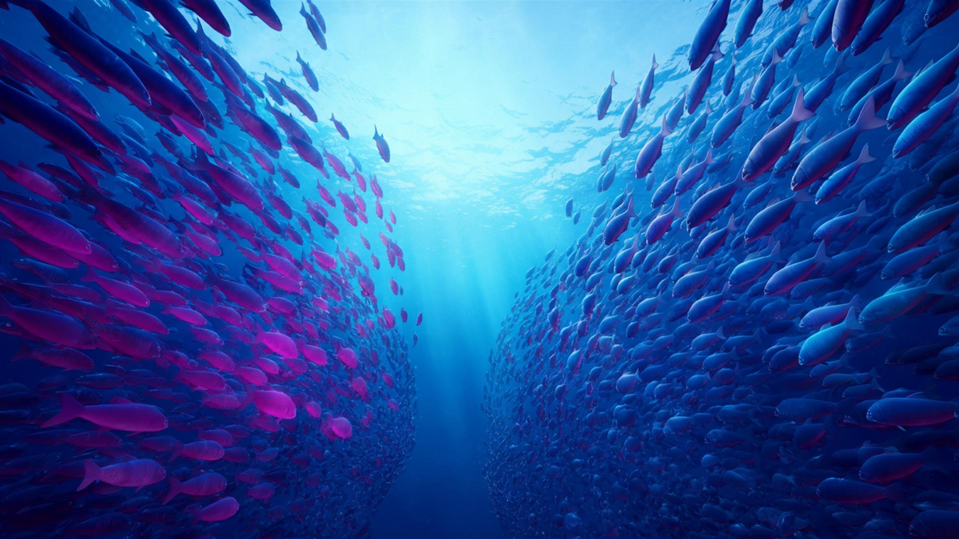 The VC Sentiment Shift: How Market Psychology Affects Your Funding Odds